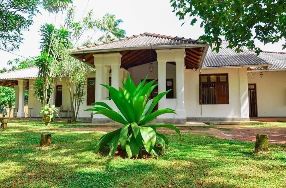Villa Helvetia Galle Ngoại thất bức ảnh